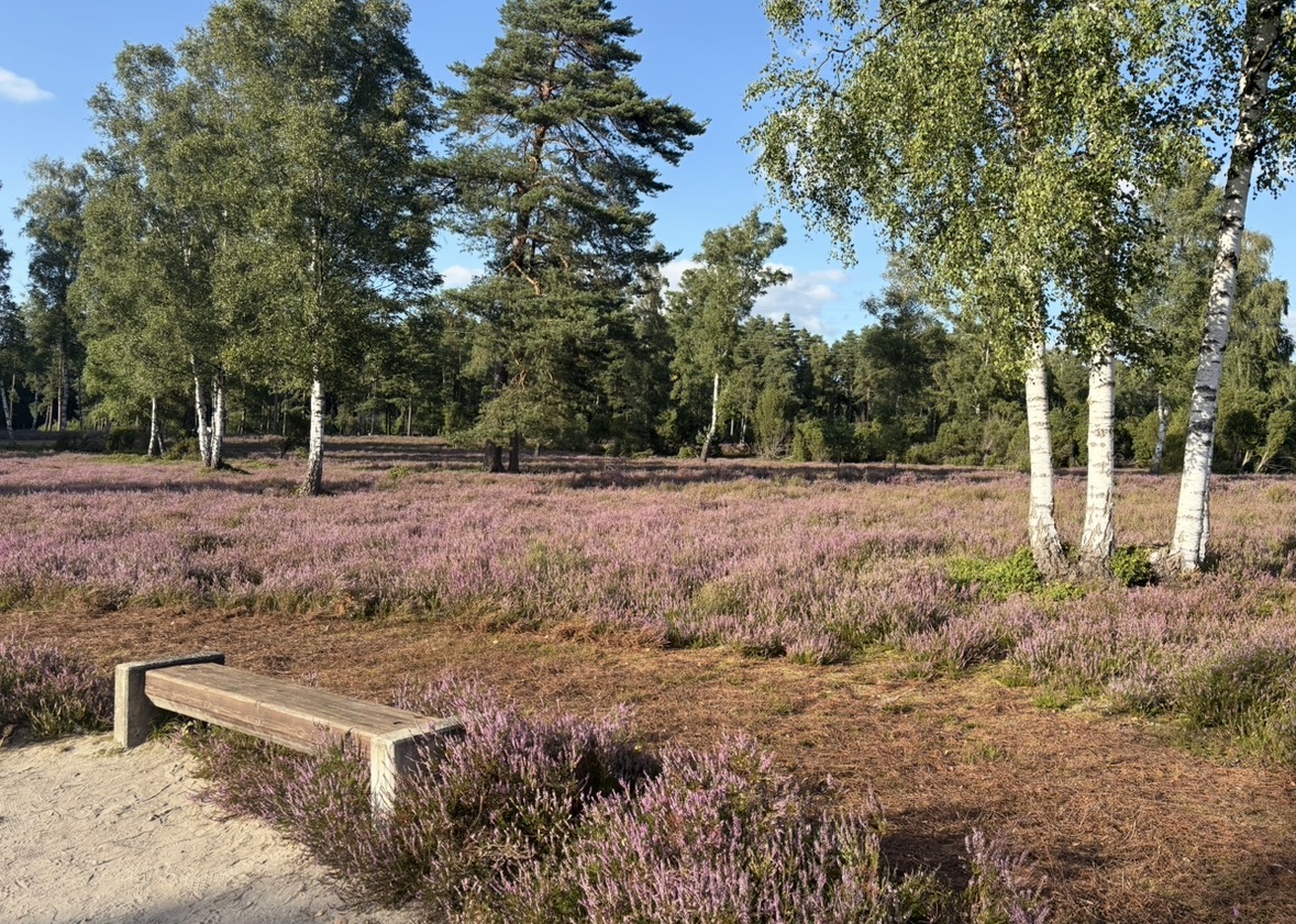 AromaSana Praxisraum